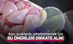 Aşırı sıcaklarda zehirlenmemek için bu önerileri dikkate alın!