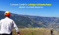 Samsun Canik’te çekirge istilasına karşı devlet destekli ilaçlama