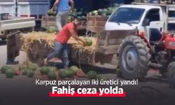 Karpuz parçalayan iki üretici yandı! Fahiş ceza yolda