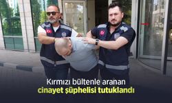 Kırmızı bültenle aranan cinayet şüphelisi tutuklandı