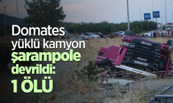 Domates yüklü kamyon şarampole devrildi: 1 ölü