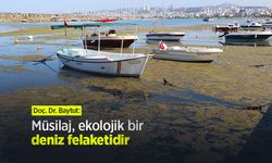 Doç. Dr. Baytut: Müsilaj, ekolojik bir deniz felaketidir