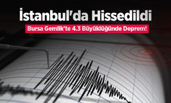 İstanbul'da Hissedildi: Bursa Gemlik'te 4.3 Büyüklüğünde Deprem!