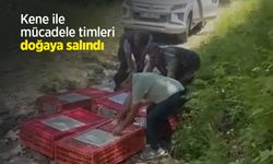 Kene ile mücadele timleri doğaya salındı