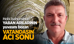 Hobi bahçesinde yaban arılarının yuvasını bozan vatandaşın acı sonu