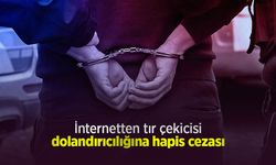 İnternetten tır çekicisi dolandırıcılığına hapis cezası