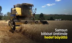 Samsun bitkisel üretimde hedef büyüttü