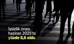 İşsizlik oranı haziran 2025'te yüzde 8,6 oldu