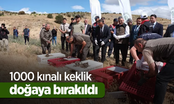1000 kınalı keklik doğaya bırakıldı