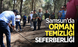 Samsun'da orman temizliği seferberliği