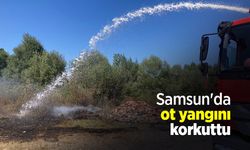 Samsun'da ot yangını korkuttu