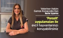Dr. Vet. Hek. Gamze Konaçoğlu'ndan kene uyarısı: 'Parazit' uygulamaları ile evcil hayvanlarınızı koruyabilirsiniz