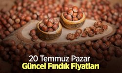20 Temmuz 2025 Güncel Fındık Fiyatları