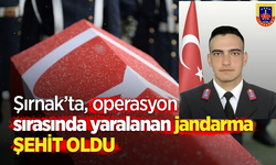 Şırnak’ta operasyon sırasında yaralanan jandarma şehit oldu