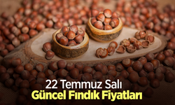 22 Temmuz 2025 Güncel Fındık Fiyatları