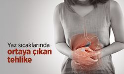 Yaz sıcaklarında ortaya çıkan tehlike