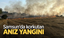 Samsun’da korkutan anız yangını