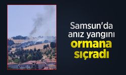 Samsun'da anız yangını ormana sıçradı