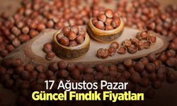 17 Ağustos 2025 Güncel Fındık Fiyatları