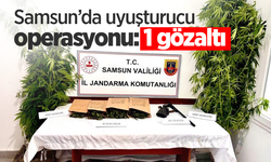 Samsun’da uyuşturucu operasyonu: 1 gözaltı