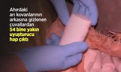 Ahırdaki arı kovanlarının arkasına gizlenen çuvallardan 54 bine yakın uyuşturucu hap çıktı