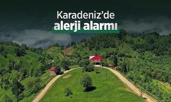 Karadeniz’de alerji alarmı