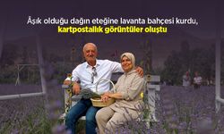 Âşık olduğu dağın eteğine lavanta bahçesi kurdu, kartpostallık görüntüler oluştu