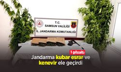 Jandarma kubar esrar ve kenevir ele geçirdi: 1 gözaltı