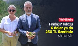 YRP’li Kılıç: Fındığın kilosu 6 dolar ya da 250 TL üzerinde olmalıdır
