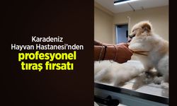 Karadeniz Hayvan Hastanesi’nden profesyonel tıraş fırsatı