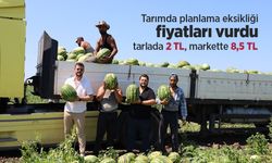 Tarımda planlama eksikliği fiyatları vurdu: Karpuz tarlada 2, markette 8,5 TL