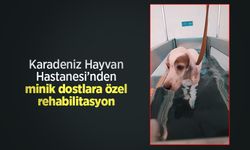 Karadeniz Hayvan Hastanesi’nden minik dostlara özel rehabilitasyon