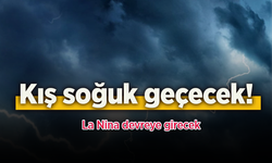 Kış soğuk geçecek! Vortex bozulacak La Nina devreye girecek