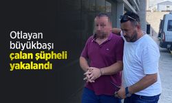 Otlayan büyükbaşı çalan şüpheli yakalandı