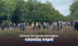 Samsun'da hayvan barınağına vatandaş engeli