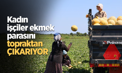 Kadın işçiler ekmek parasını topraktan çıkarıyor