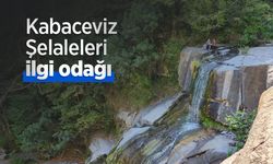 Kabaceviz Şelaleleri ilgi odağı