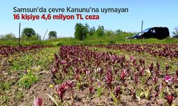 Samsun'da çevre Kanunu'na uymayan 16 kişiye 4,6 milyon TL ceza