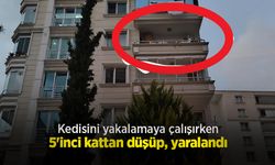Kedisini yakalamaya çalışırken 5'inci kattan düşüp, yaralandı