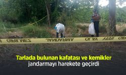 Tarlada bulunan kafatası ve kemikler jandarmayı harekete geçirdi