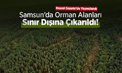Samsun’da Orman Alanları Sınır Dışına Çıkarıldı! Resmî Gazete’de Yayımlandı