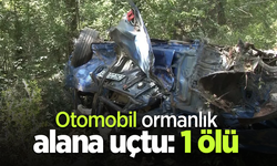Otomobil ormanlık alana uçtu: 1 ölü