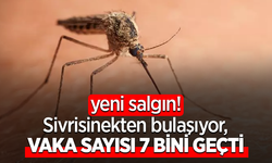 Yeni salgın! Sivrisinekten bulaşıyor, vaka sayısı 7 bini geçti
