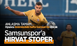 Samsunspor Toni Borevkovic transferi