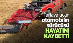 Tarlaya uçan otomobilin sürücüsü hayatını kaybetti