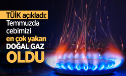 TÜİK açıkladı: Temmuzda cebimizi en çok yakan doğal gaz oldu