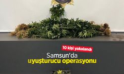 Samsun'da uyuşturucu operasyonu: 10 kişi yakalandı