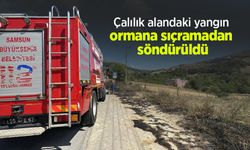 Çalılık alandaki yangın ormana sıçramadan söndürüldü
