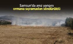 Samsun'da anız yangını ormana sıçramadan söndürüldü