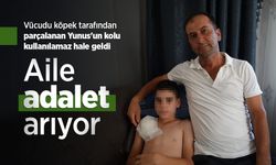 Vücudu köpek tarafından parçalanan Yunus'un kolu kullanılamaz hale geldi, aile adalet arıyor
